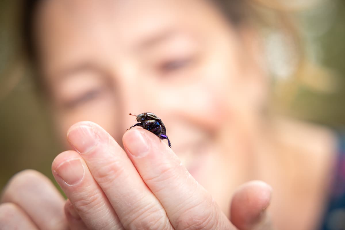 Een glanzende kever zit op de vinger van Inge, die er lachend naar kijkt